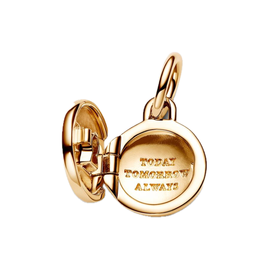 Charm LUCCHETTO APRIBILE Pandora-763066C01