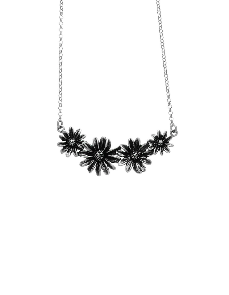 Collana GIOVANNI RASPINI